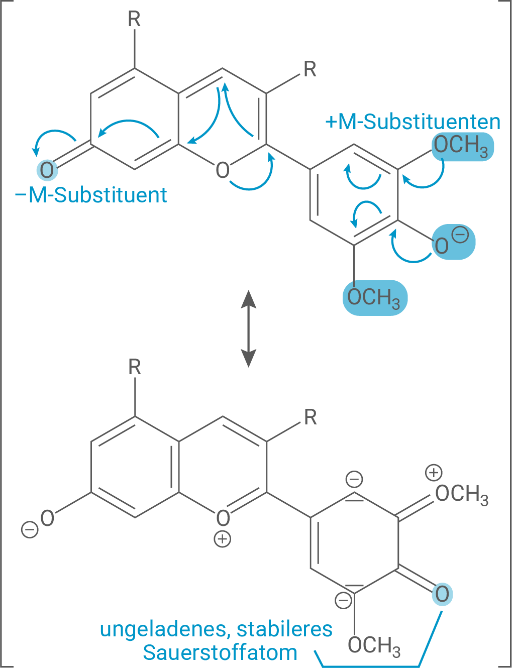 Chemische Struktur mit M-Substituenten und stabilen Sauerstoffatomen. Illustration der Reaktionsmechanismen.